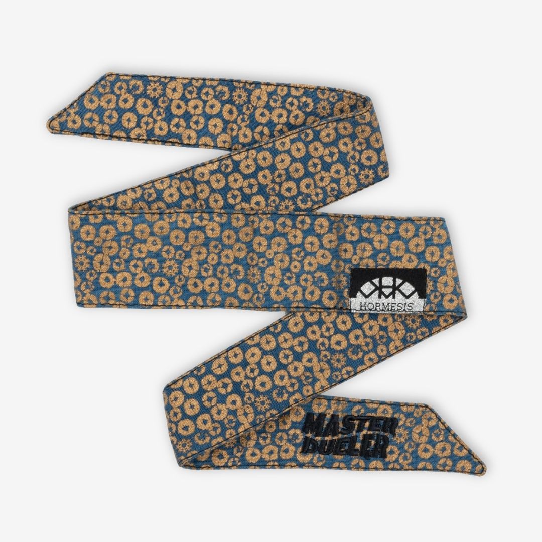 Hormesis Headband Slate Gold Coins