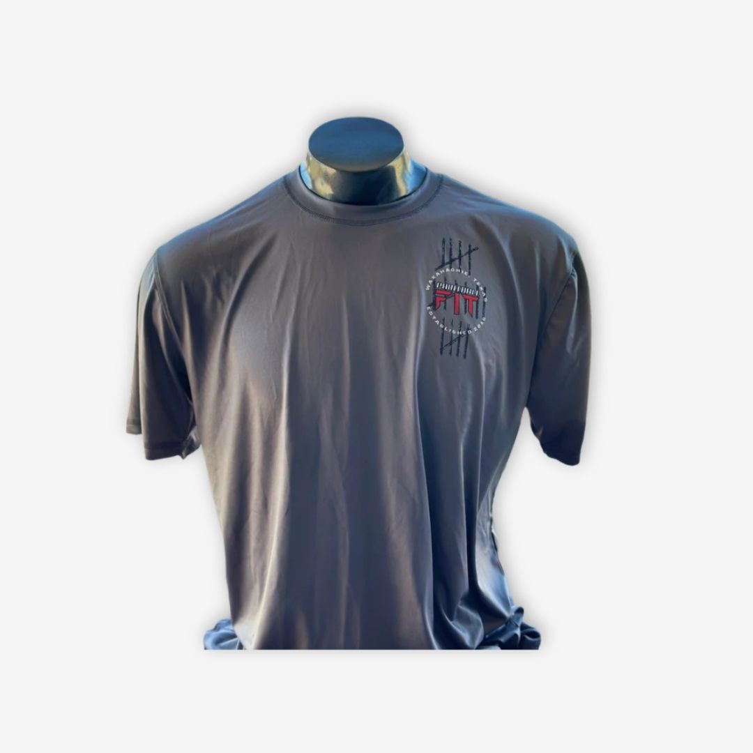 Hydra DryFit Champions T-Shirt - Gray